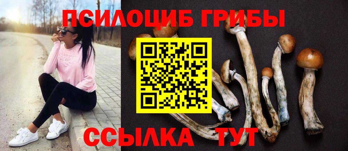 Кыштым  Псилоцибиновые грибы ЛСД  Вход с VPN 